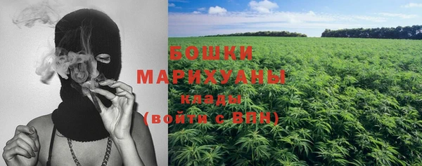 мдма Заводоуковск